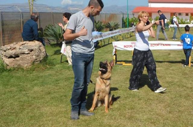 Totino Addestramento E Pensione Per Cani